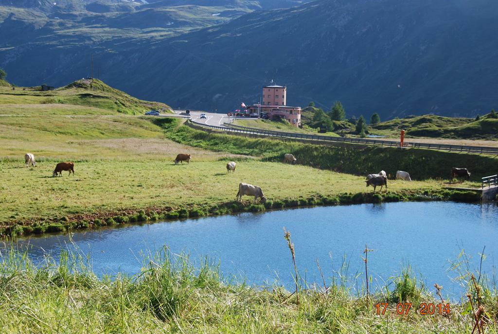 Hotel Restaurant Monte Leone Simplon Екстер'єр фото