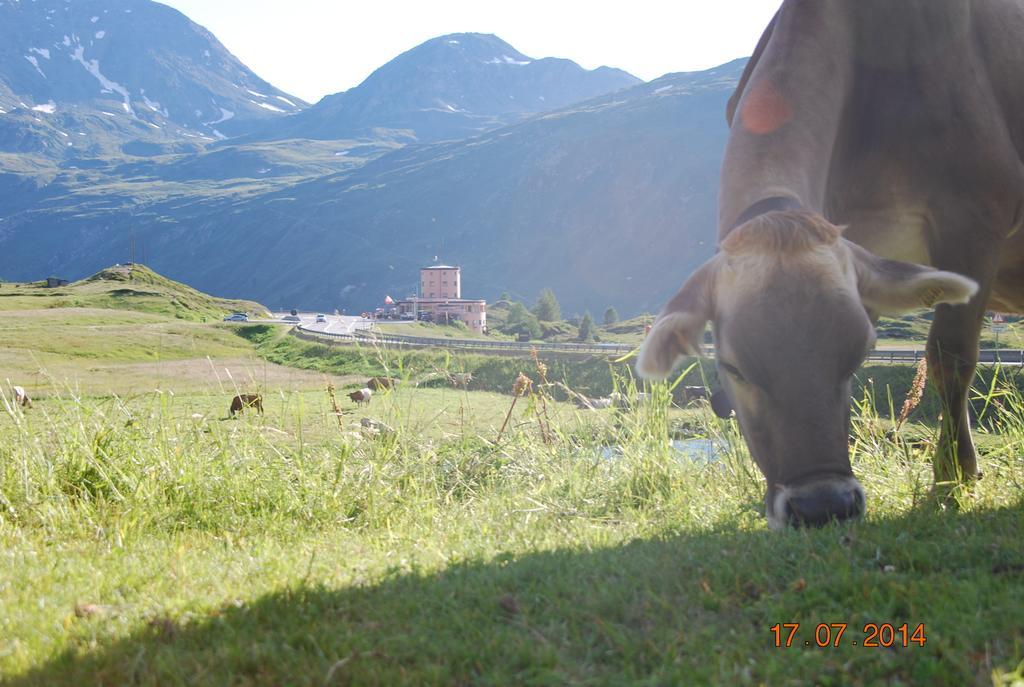 Hotel Restaurant Monte Leone Simplon Екстер'єр фото